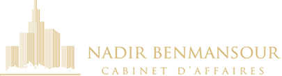 logo de Nadir Benmansour cabinet d'affaires à Oran
